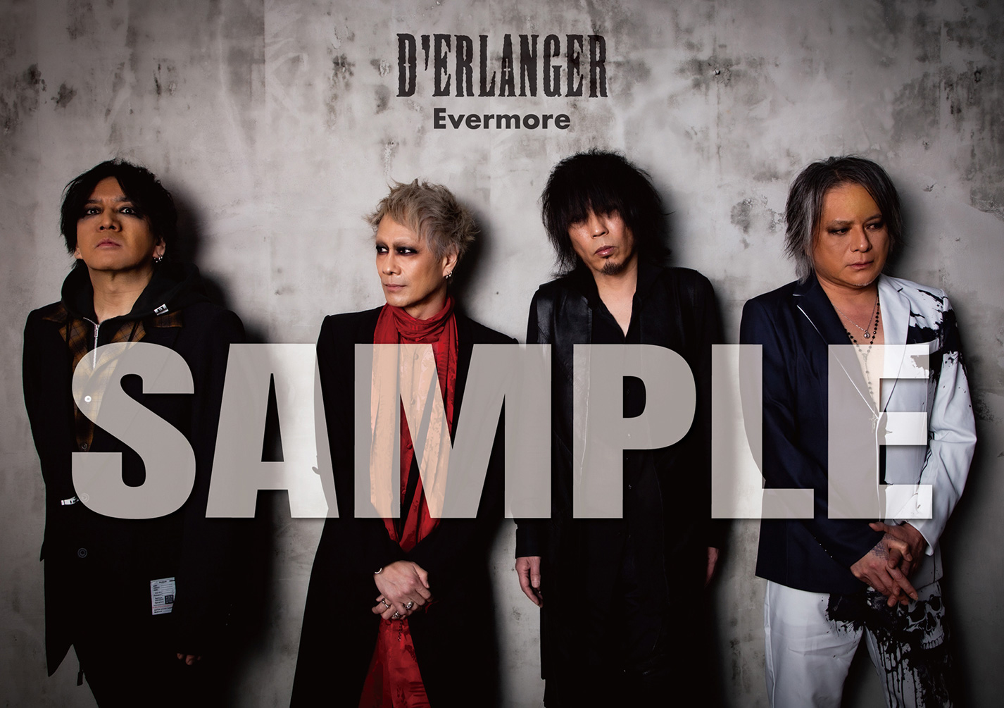 アーティスト・フォトカード アーティスト・フォトカード